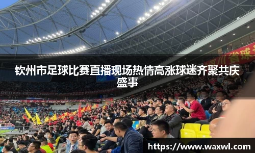 优游娱乐