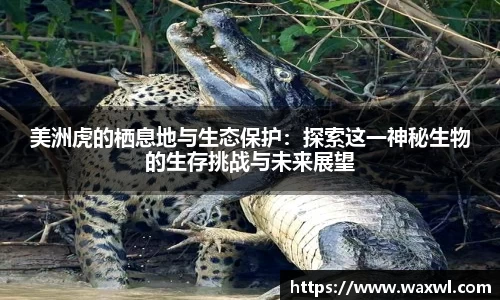 优游娱乐